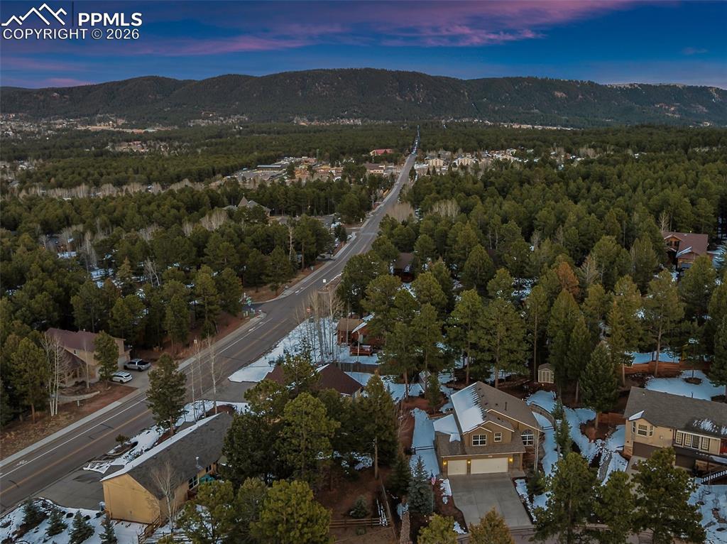 681 Misty Pines Circle Woodland Park CO 80863