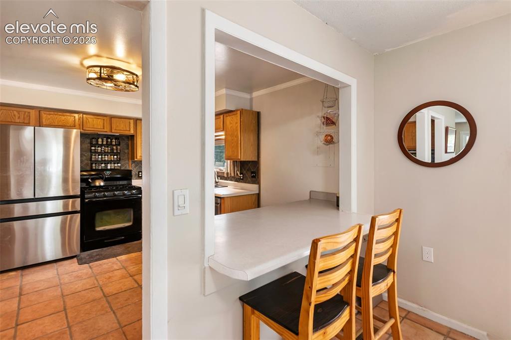 10 Ollie Court Woodland Park CO 80863