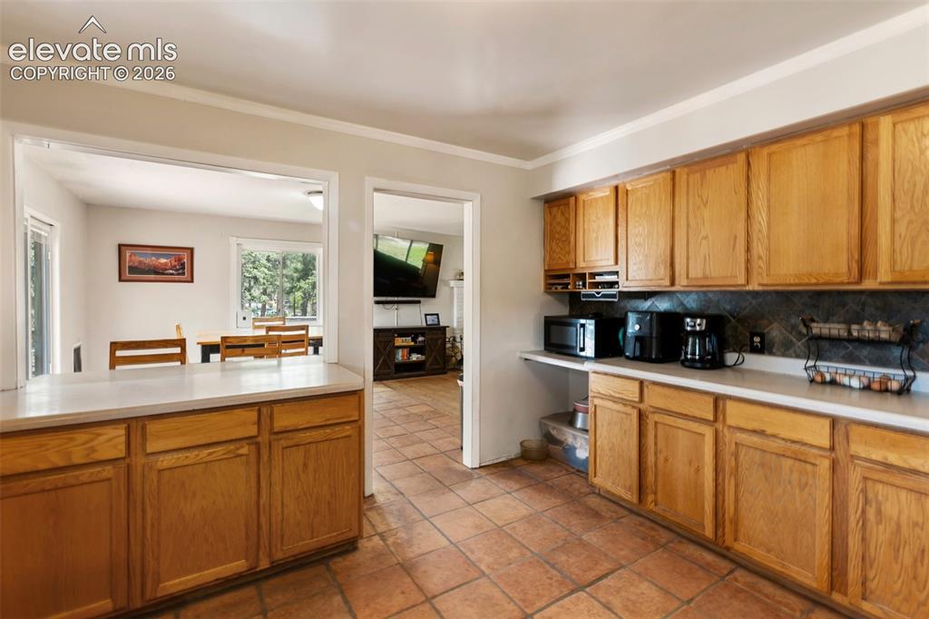 10 Ollie Court Woodland Park CO 80863