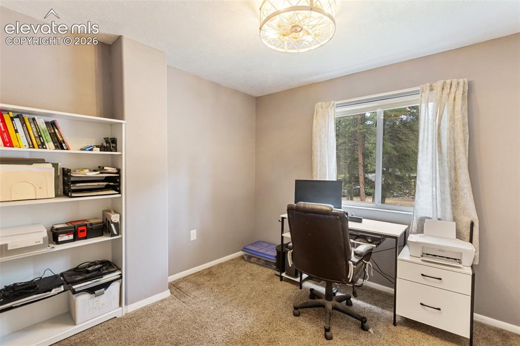 10 Ollie Court Woodland Park CO 80863