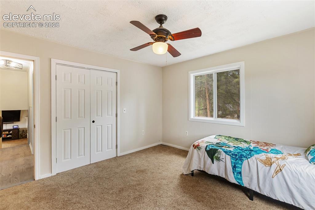 10 Ollie Court Woodland Park CO 80863