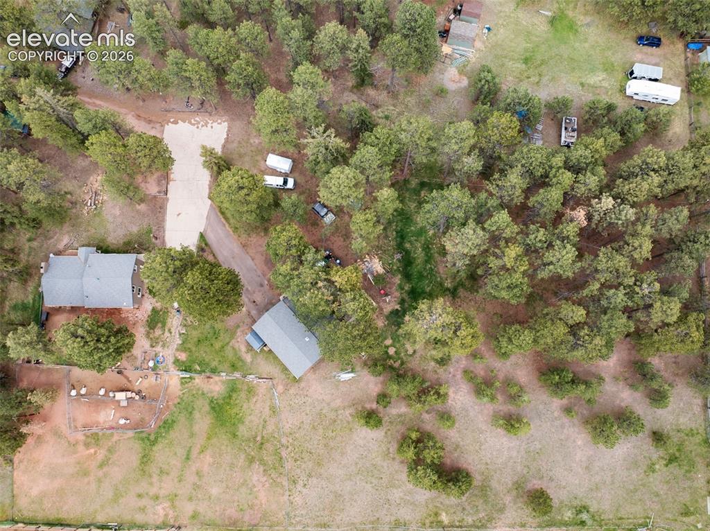 10 Ollie Court Woodland Park CO 80863