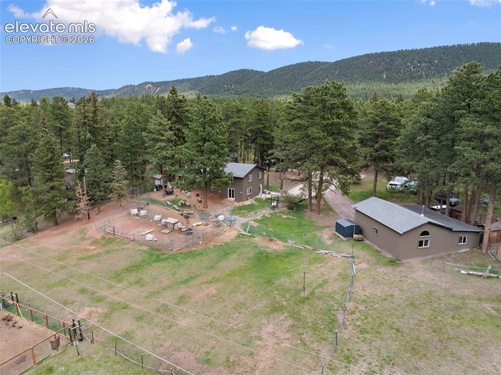 10 Ollie Court Woodland Park CO 80863