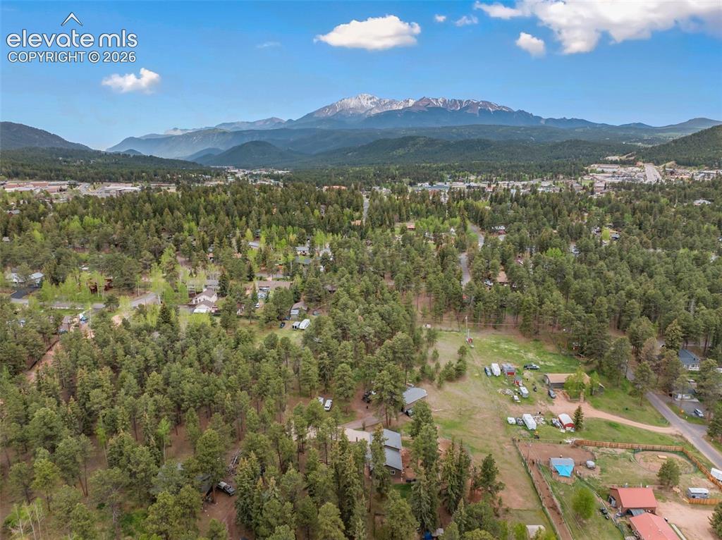 10 Ollie Court Woodland Park CO 80863
