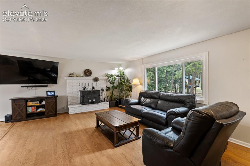10 Ollie Court Woodland Park CO 80863