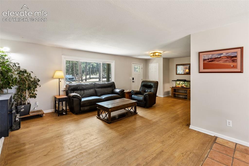 10 Ollie Court Woodland Park CO 80863