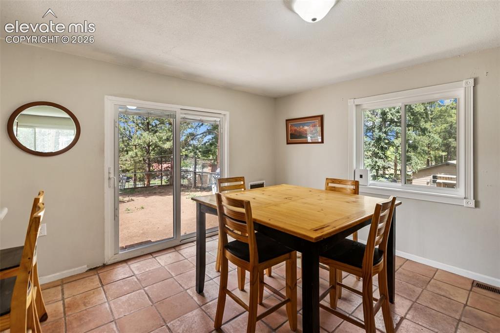 10 Ollie Court Woodland Park CO 80863
