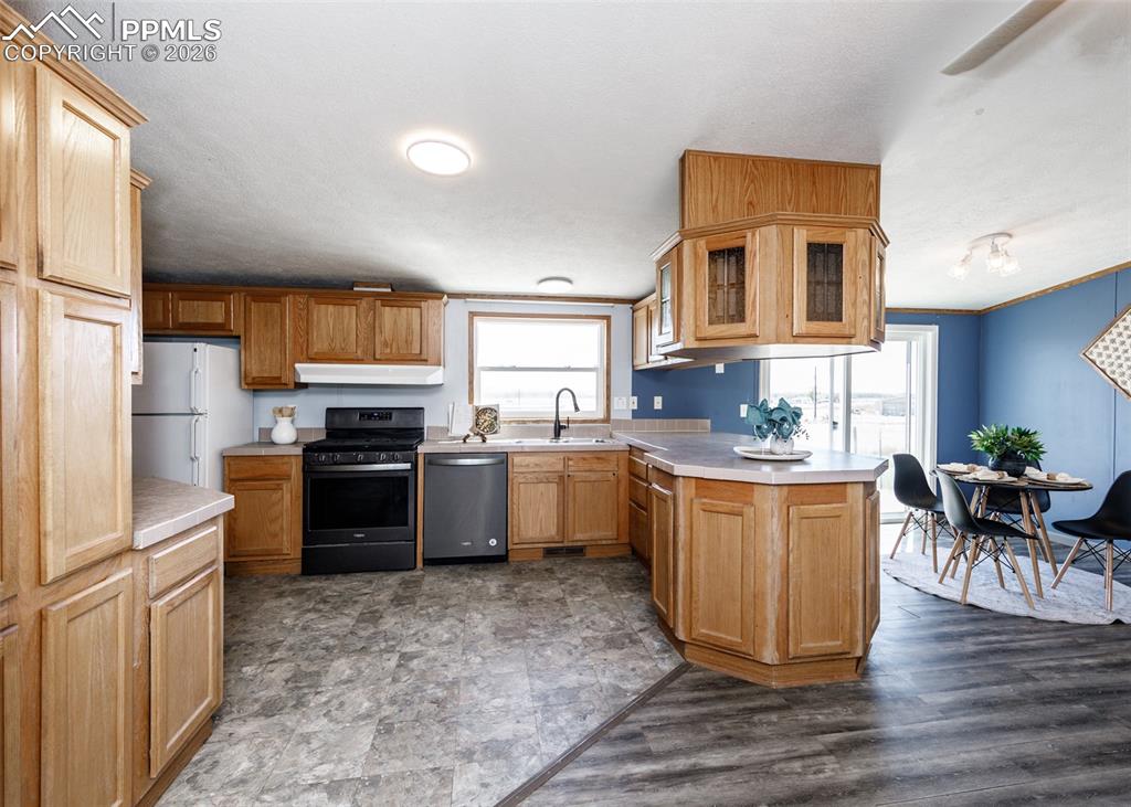 20625 El Nino Point Fountain CO 80817