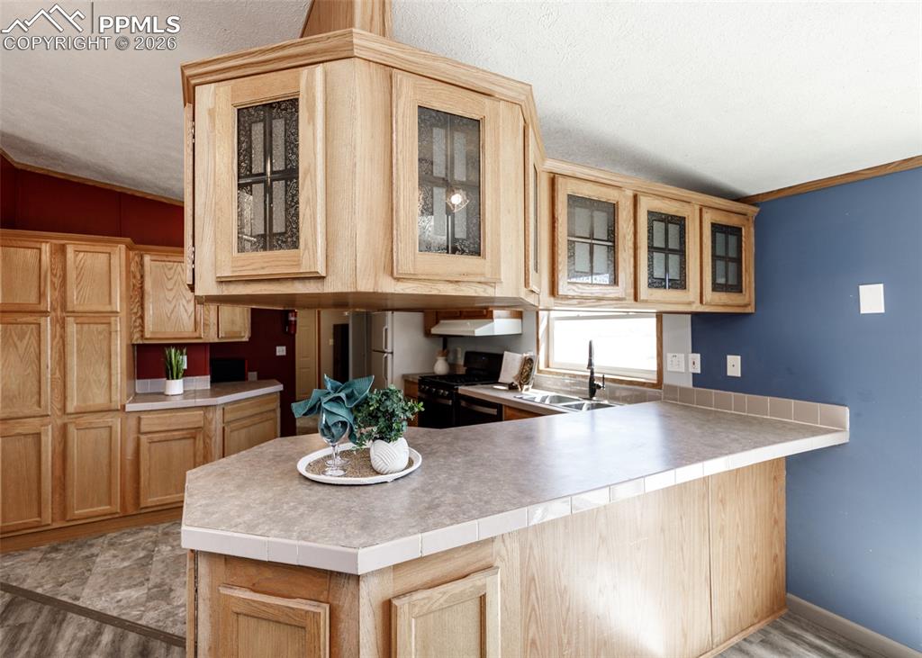 20625 El Nino Point Fountain CO 80817
