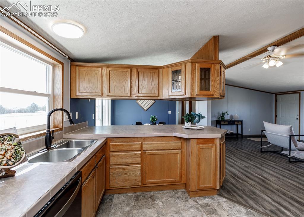20625 El Nino Point Fountain CO 80817