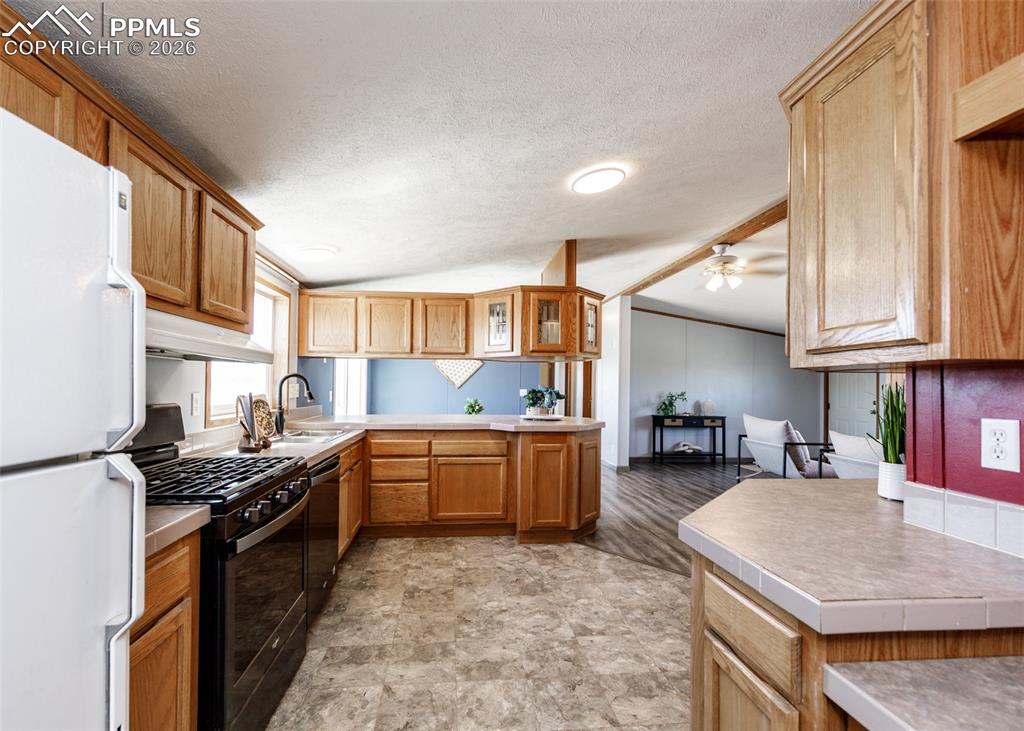 20625 El Nino Point Fountain CO 80817
