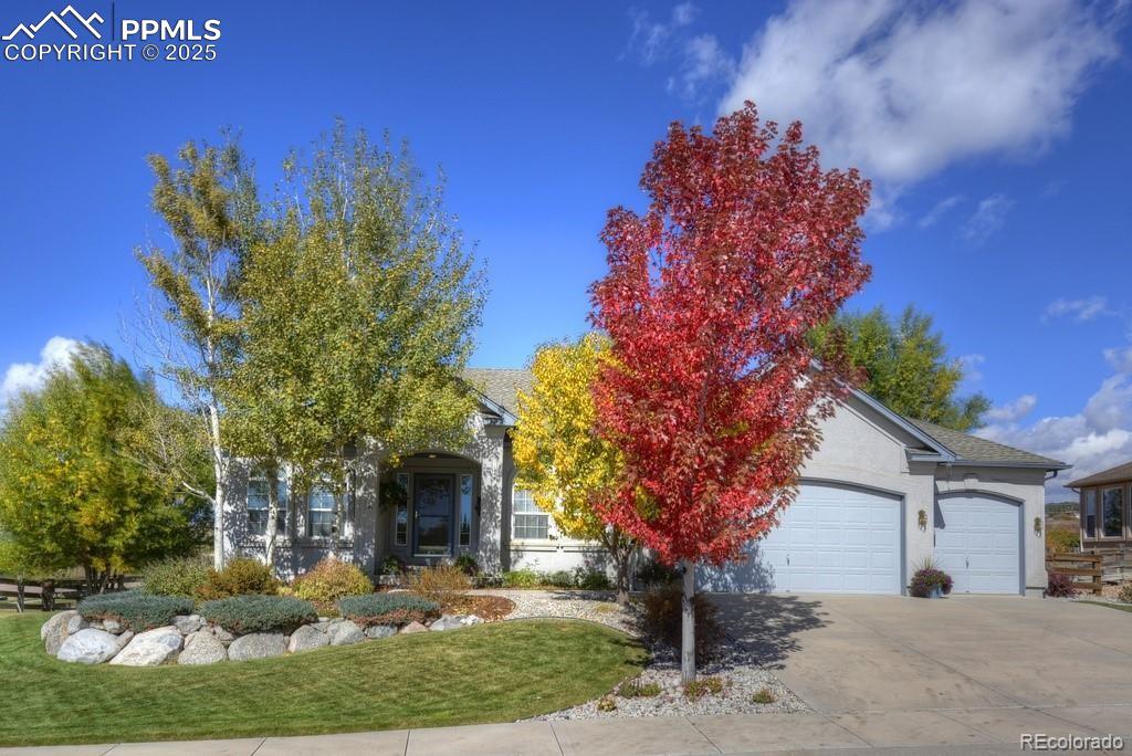 698 Larimer Creek Drive Monument CO 80132