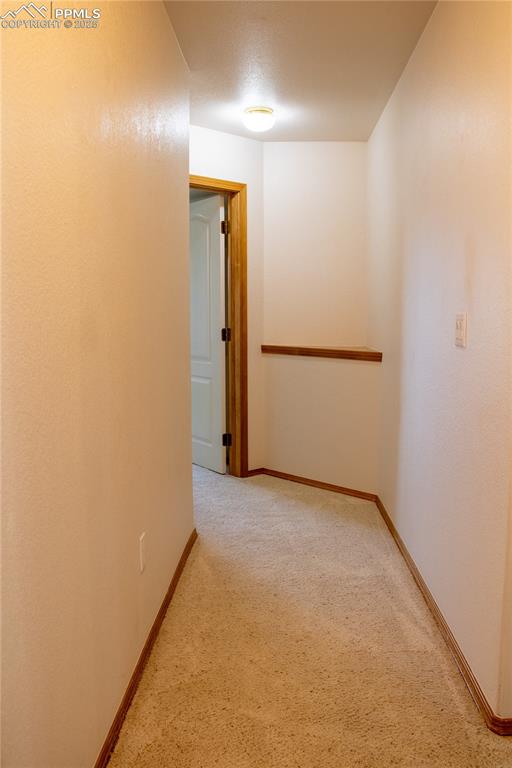 698 Larimer Creek Drive Monument CO 80132