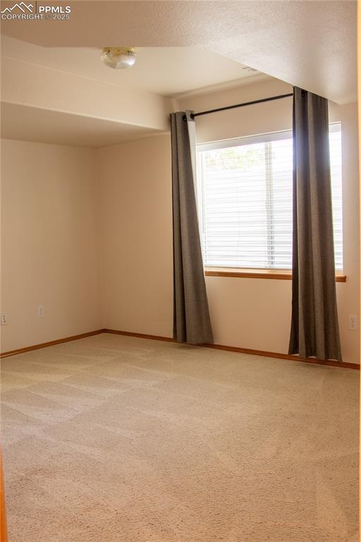 698 Larimer Creek Drive Monument CO 80132