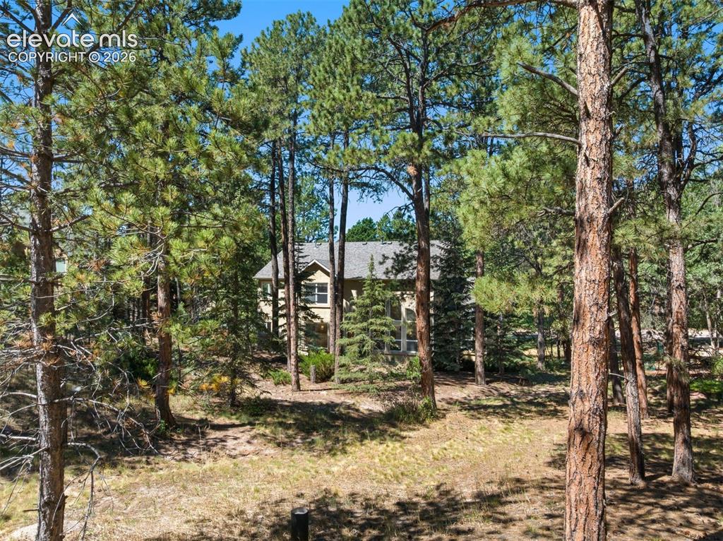 15930 Longmeadow Lane Colorado Springs CO 80921