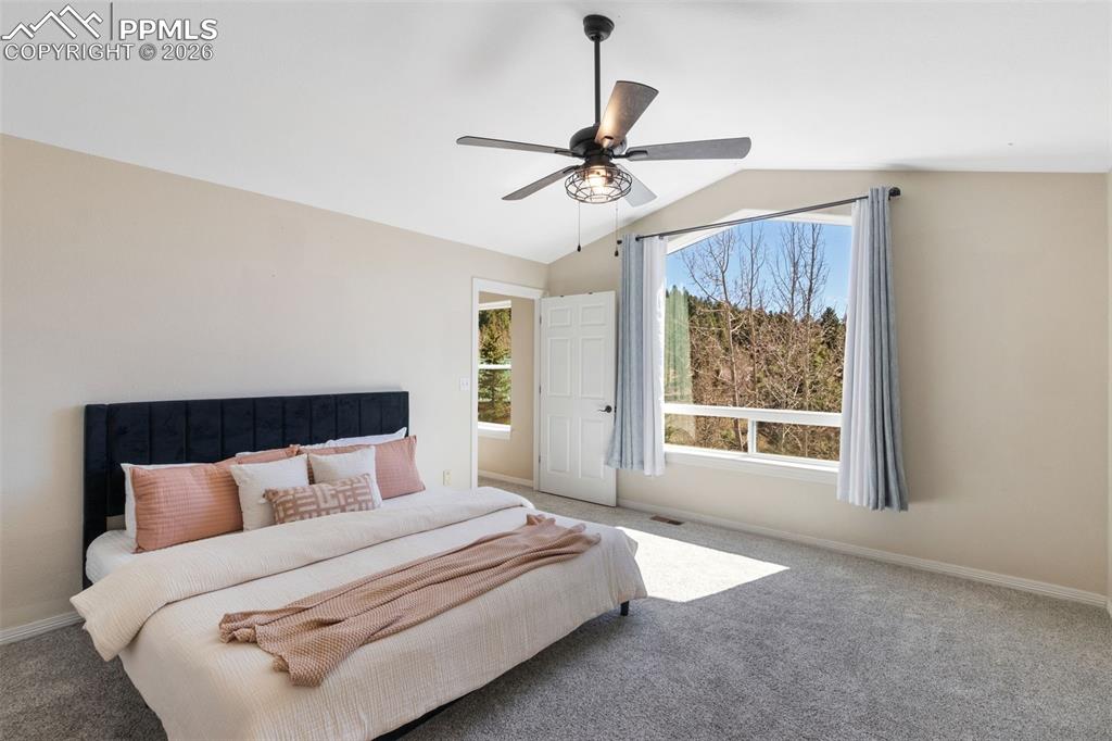 120 Red Clover Court Woodland Park CO 80863