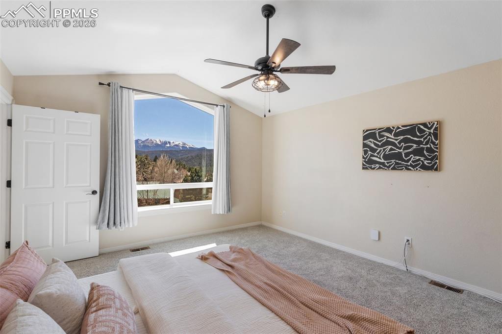 120 Red Clover Court Woodland Park CO 80863