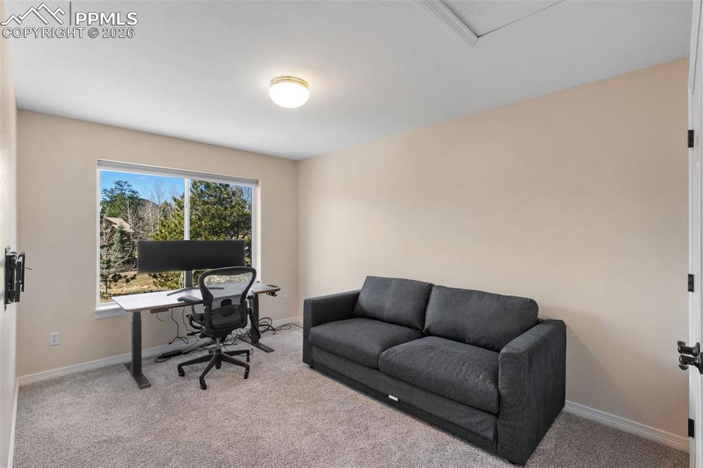 120 Red Clover Court Woodland Park CO 80863