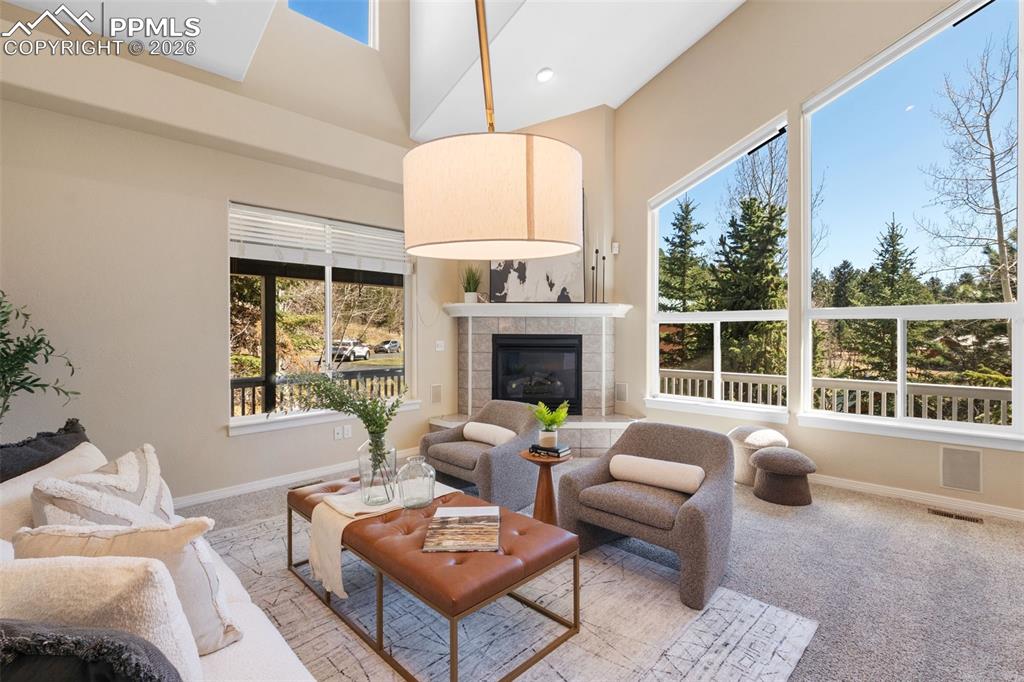 120 Red Clover Court Woodland Park CO 80863