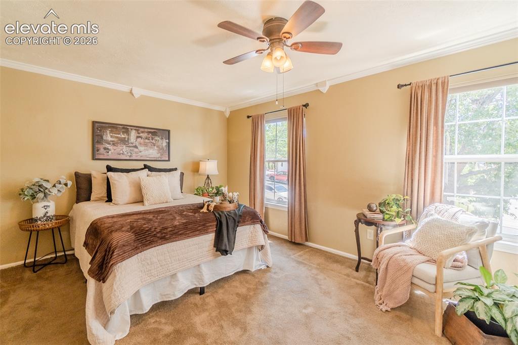 6870 Riverwood Lane Colorado Springs CO 80918