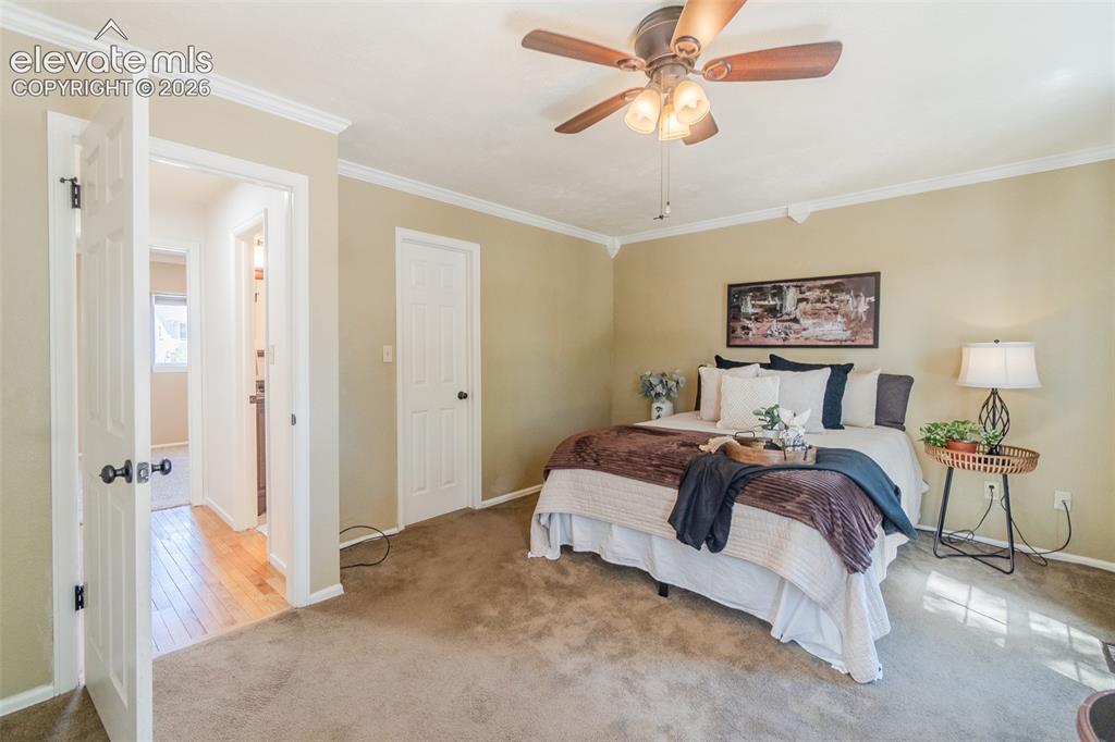 6870 Riverwood Lane Colorado Springs CO 80918
