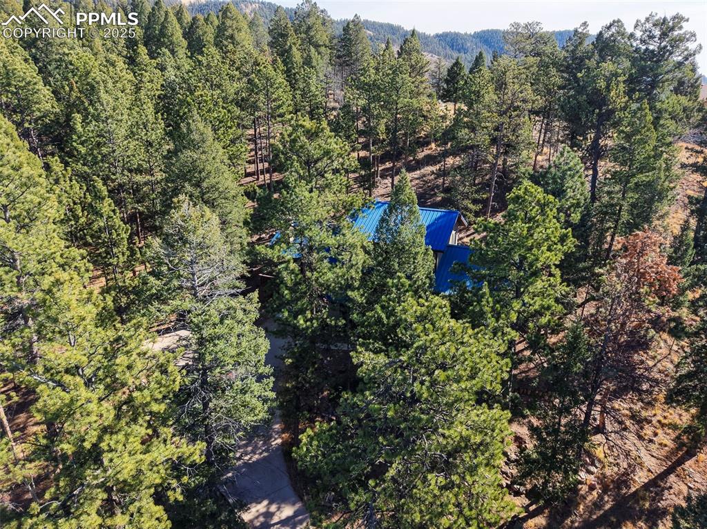 1043 Kings Crown Road Woodland Park CO 80863