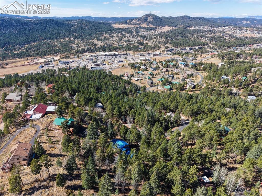1043 Kings Crown Road Woodland Park CO 80863