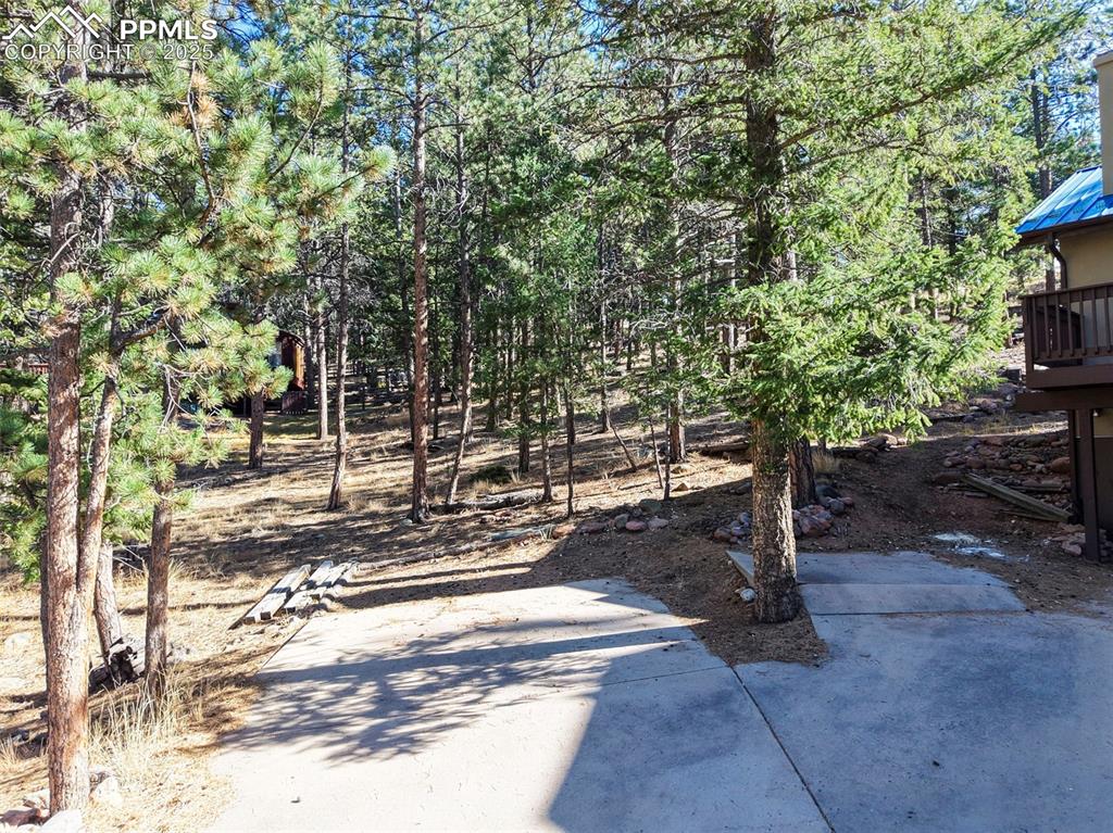 1043 Kings Crown Road Woodland Park CO 80863