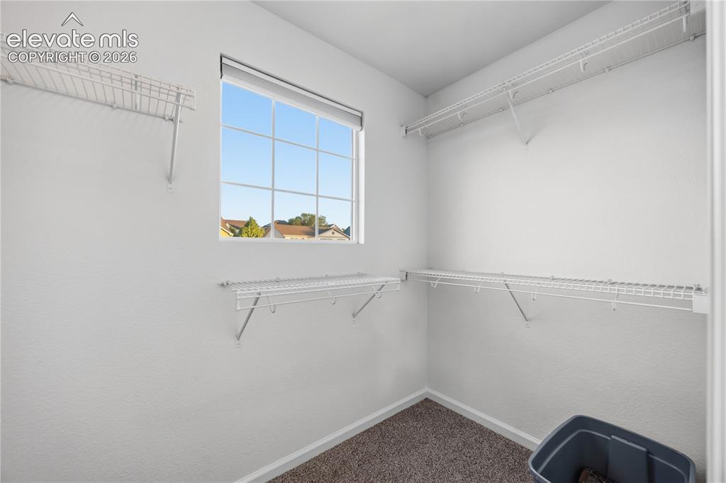 1335 Legend Oak Drive Fountain CO 80817