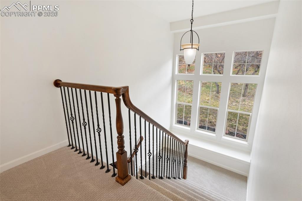 1868 La Bellezza Grove Colorado Springs CO 80919