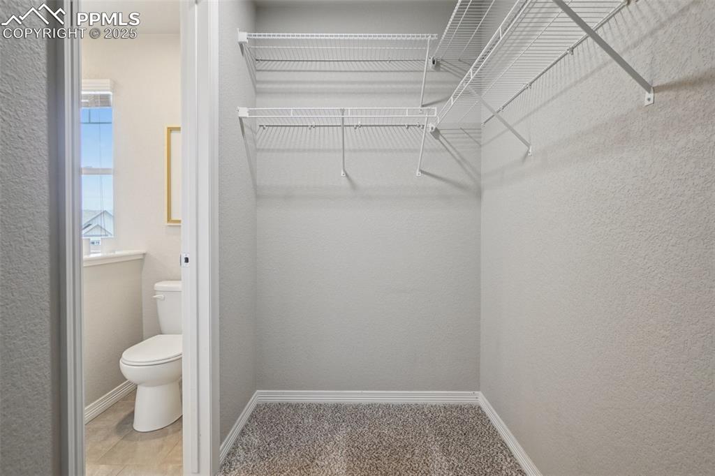 6081 Anders Ridge Lane Colorado Springs CO 80927