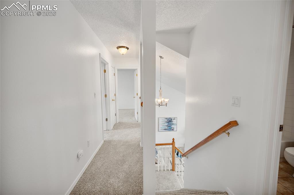 3814 Cottage Drive Colorado Springs CO 80920