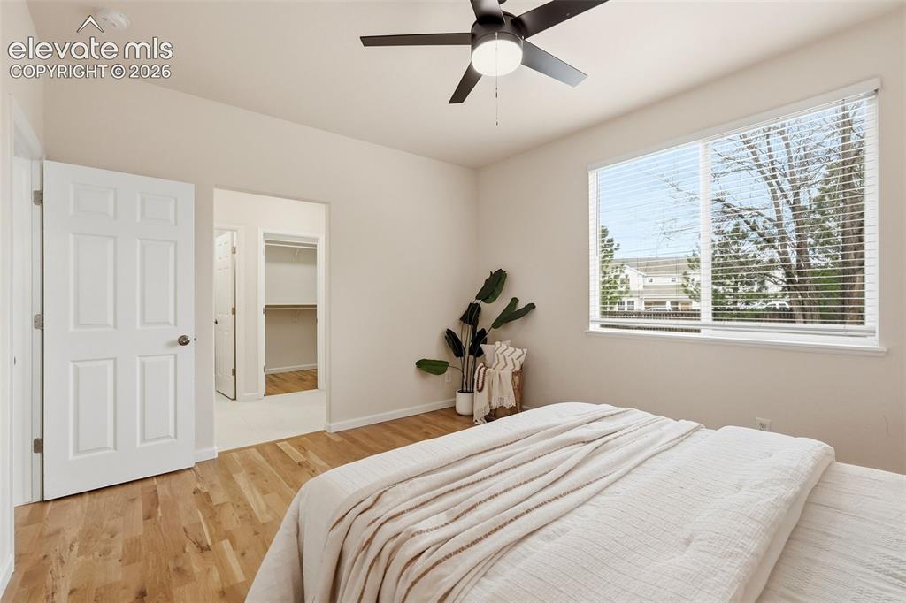 6641 Alibi Circle Colorado Springs CO 80923