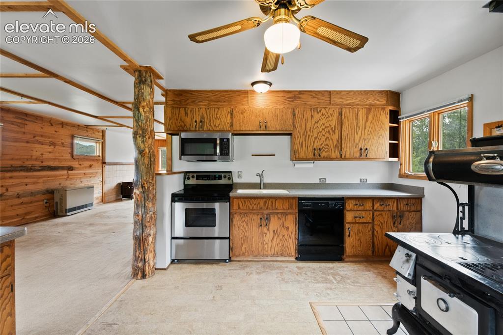 11 High Park Road Florissant CO 80816