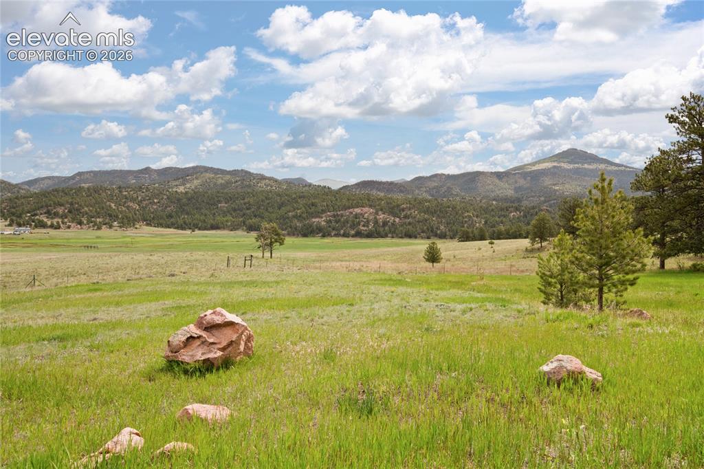 11 High Park Road Florissant CO 80816