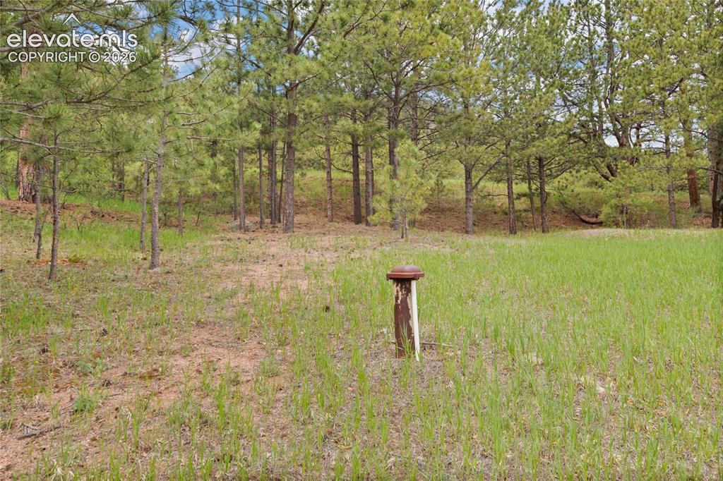 11 High Park Road Florissant CO 80816
