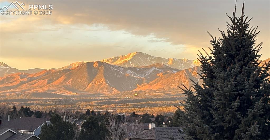 15725 Holbein Drive Colorado Springs CO 80921