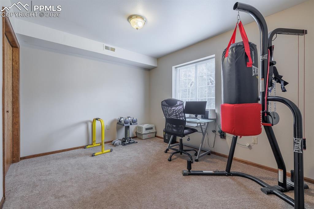 37 Silbani Lane Florissant CO 80816