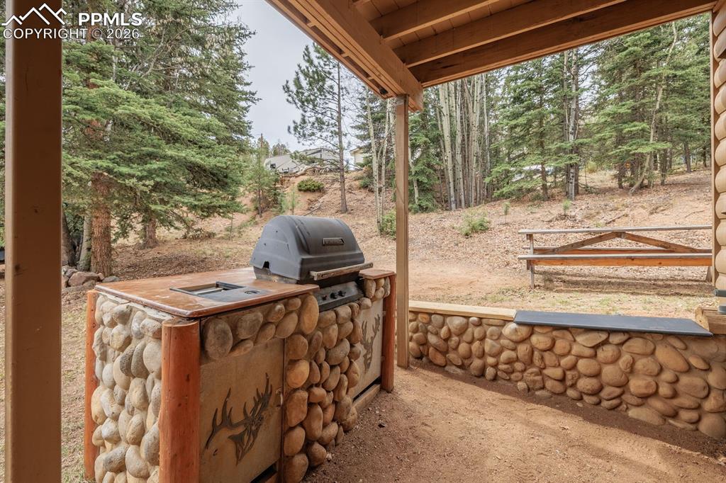 37 Silbani Lane Florissant CO 80816