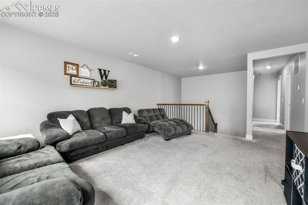2115 Coyote Mint Drive Monument CO 80132