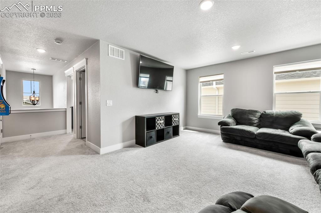 2115 Coyote Mint Drive Monument CO 80132