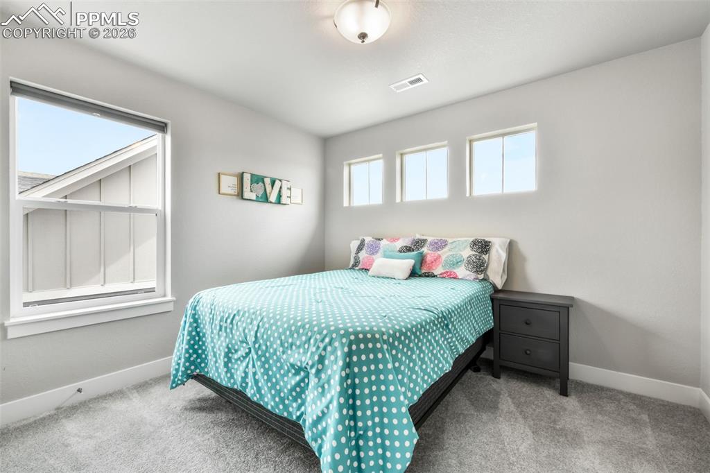 2115 Coyote Mint Drive Monument CO 80132