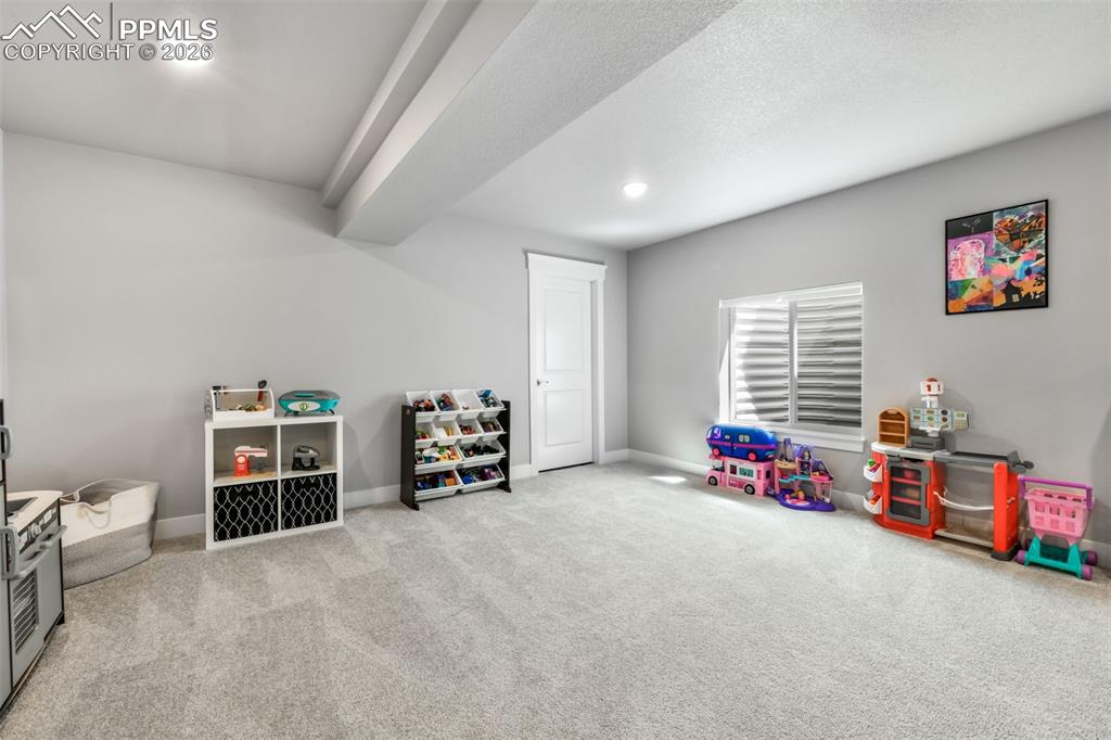 2115 Coyote Mint Drive Monument CO 80132