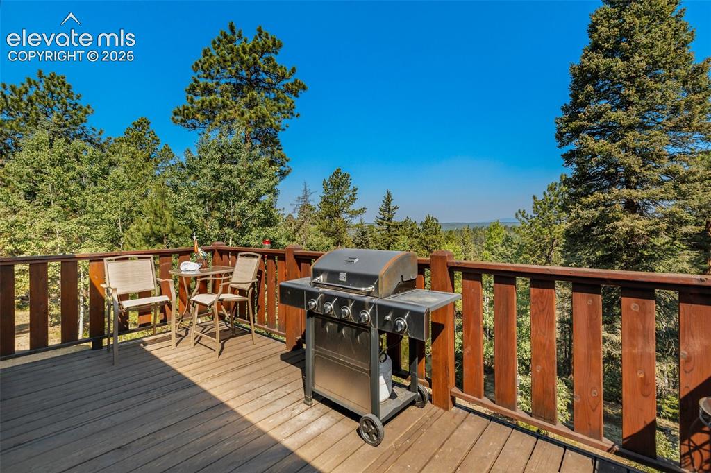 69 Cody Creek Trail Divide CO 80814