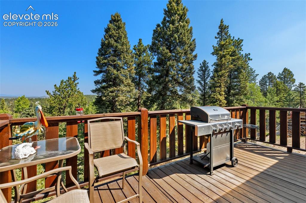 69 Cody Creek Trail Divide CO 80814