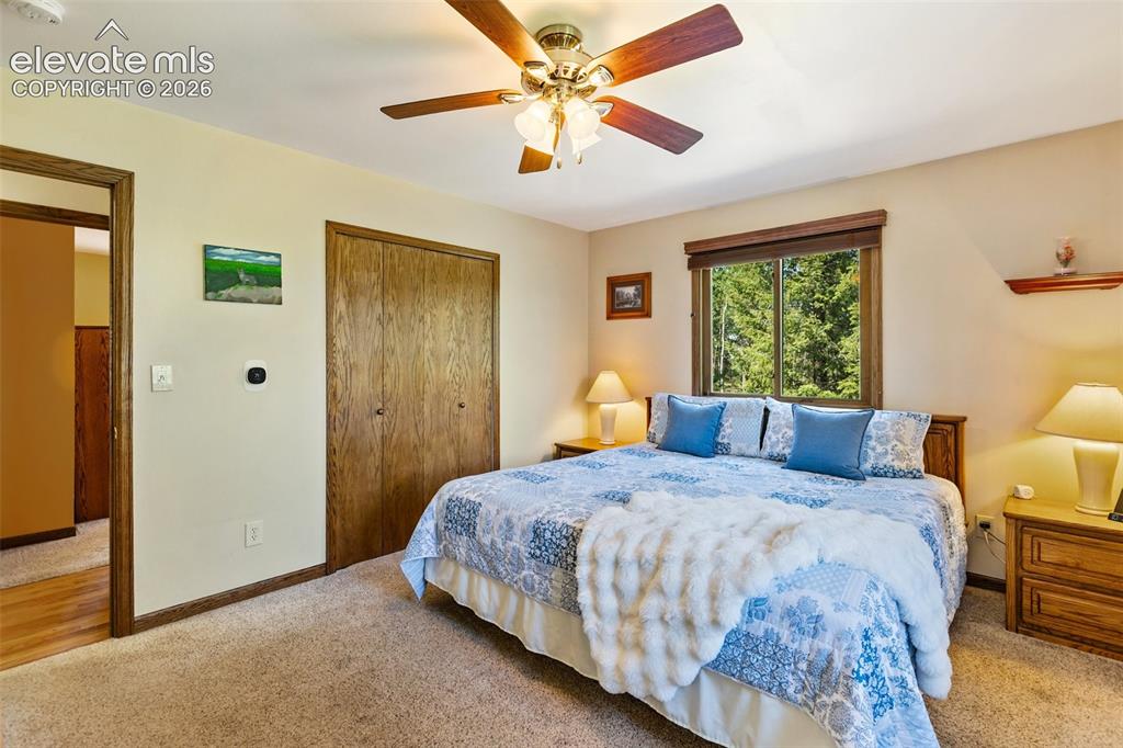 69 Cody Creek Trail Divide CO 80814