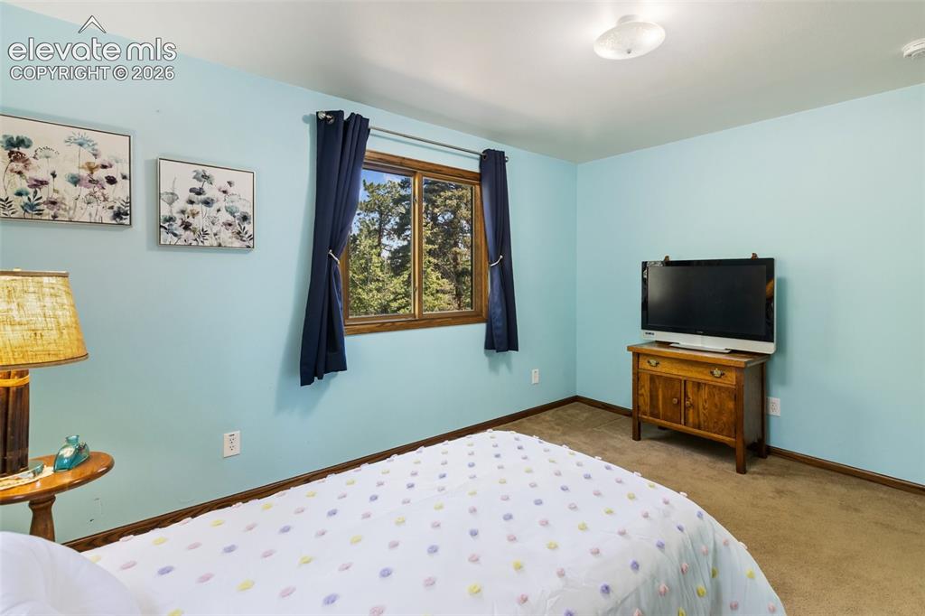 69 Cody Creek Trail Divide CO 80814