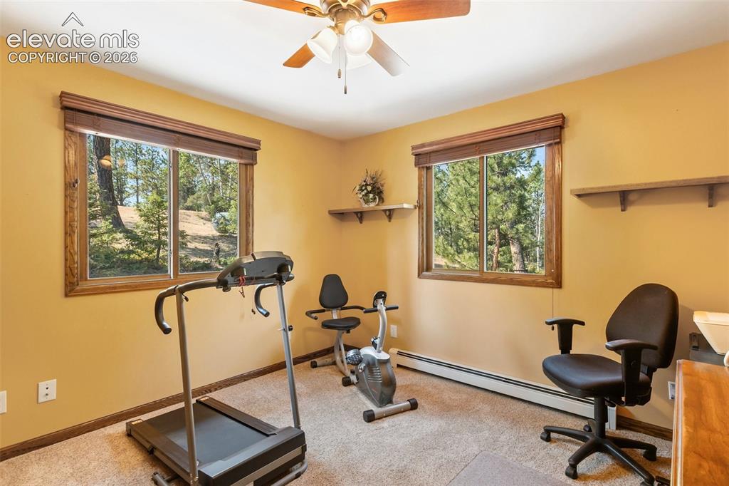69 Cody Creek Trail Divide CO 80814