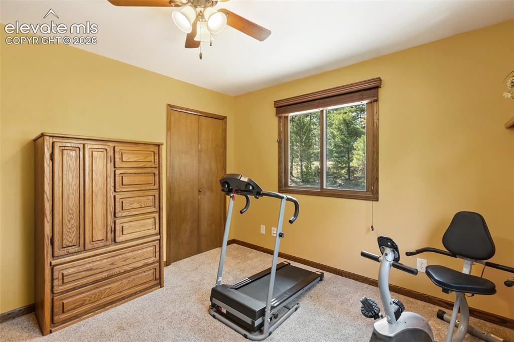 69 Cody Creek Trail Divide CO 80814