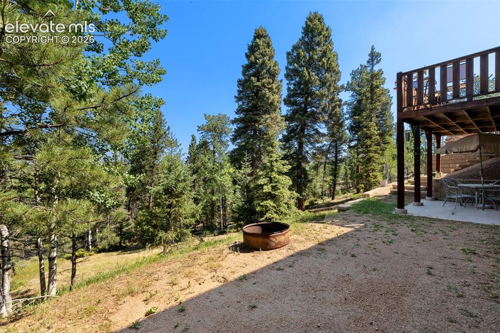 69 Cody Creek Trail Divide CO 80814